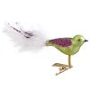 Bird Green-Purple