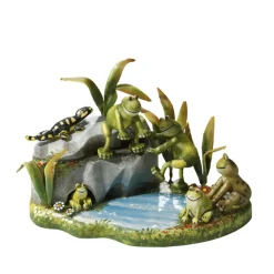 Frog Concert Meadow Life