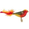 Glass Bird, Red-Green