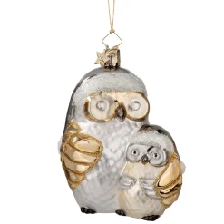 Mother Owl With Child