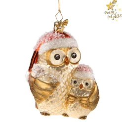 Mother Owl With Child