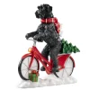 Schnauzer On Bike